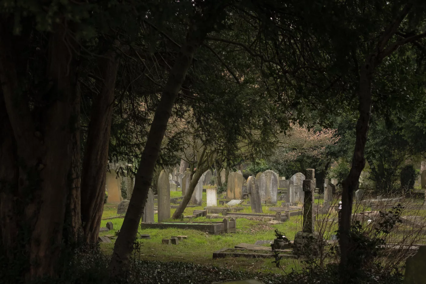 Paysage d'un cimetière abandonné