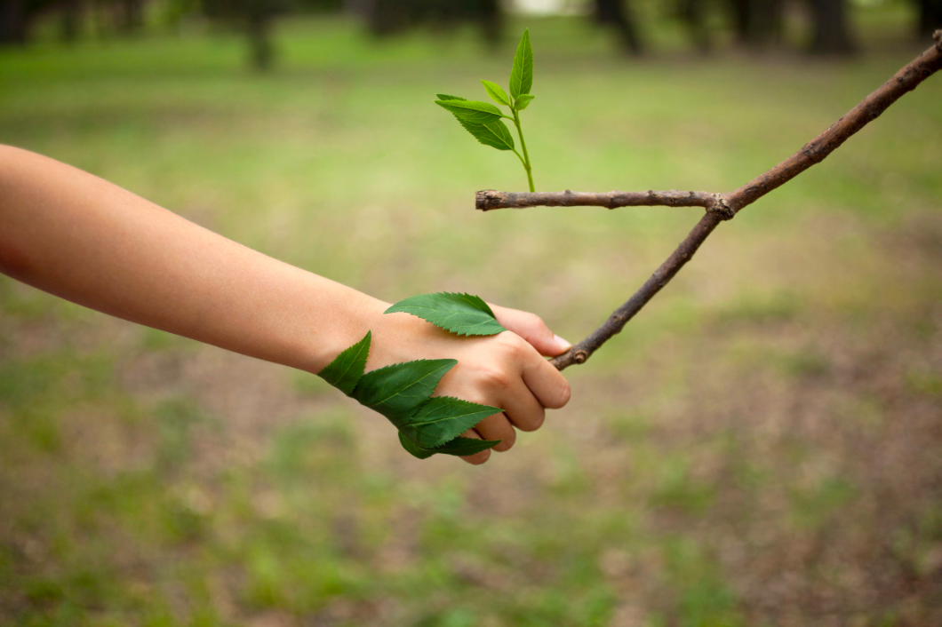 img-hand-tree@2x