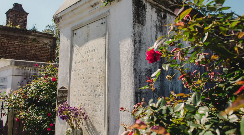 Notre sélection de plantes pour cimetière sans entretien