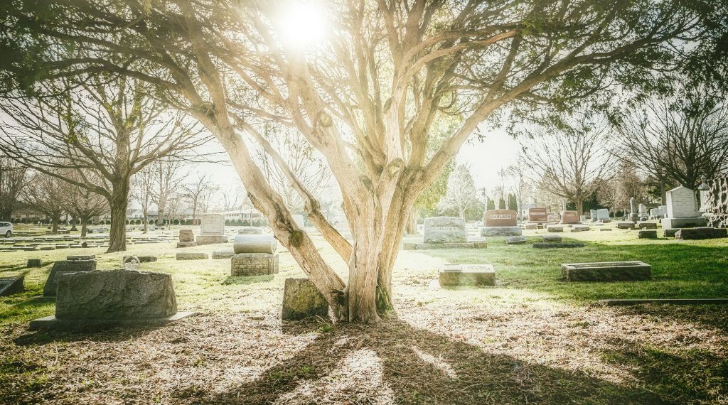 lieux pour disperser les cendres apres cremation