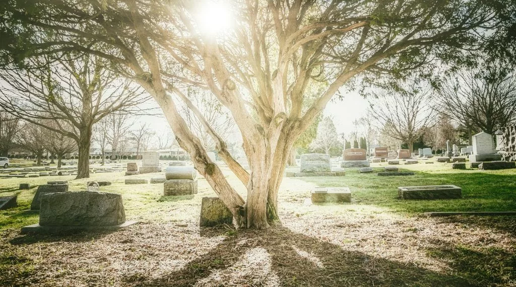 lieux pour disperser les cendres apres cremation