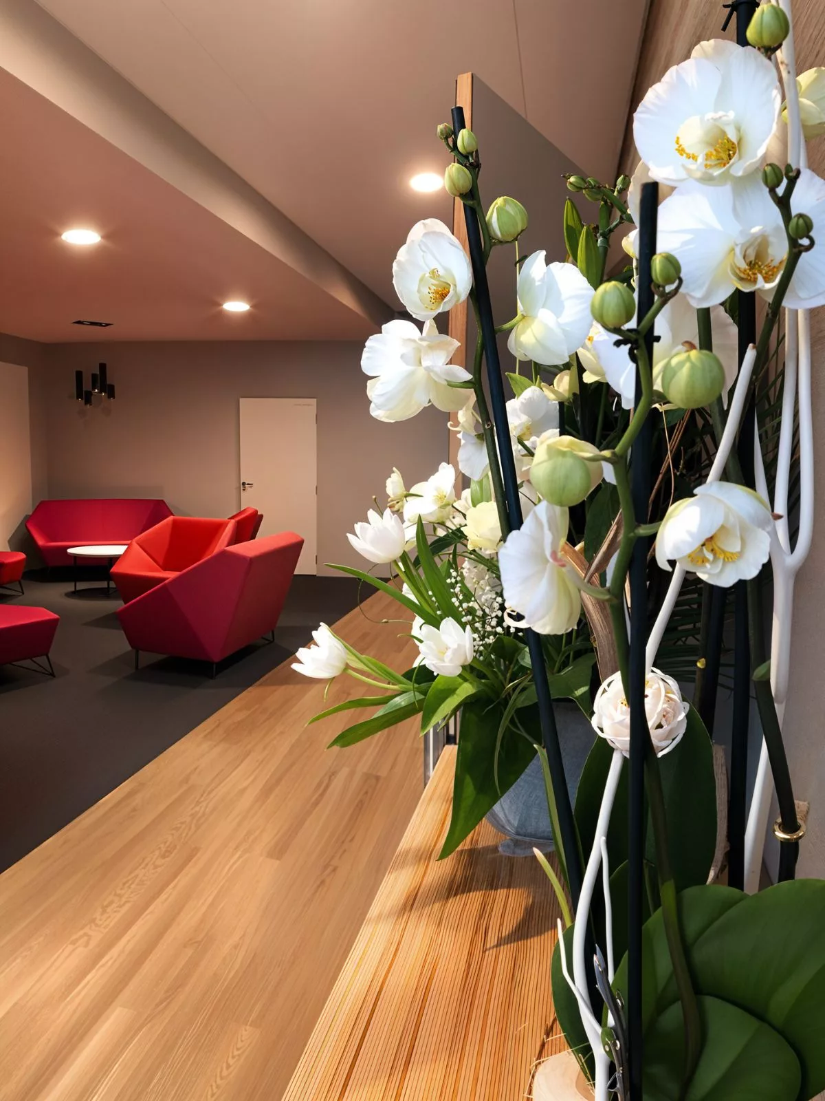 chambre funeraire salon